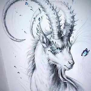 Meet your Posher, Fawad